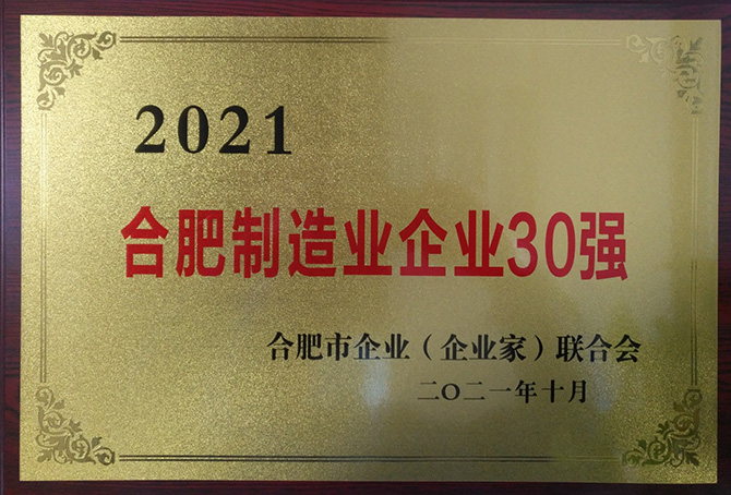 2021年合肥制造业企业30强